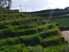 Commercial Lands for Sale in Nuwara Eliya Abewela