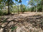 Commercial or Residential Land for Sale in Angunakolapelessa