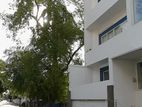 Commercial Property for long term lease in Colombo 07
