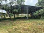 Land for Rent in Dambulla