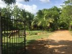 Commercial Property For Sale In Katharagama