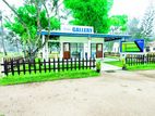 Commercial Property for Sale in Mellawagedara P20