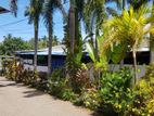 Commercial Property For Sale In Negombo