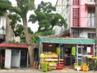 Commercial Property for Sale in Pannipitiya