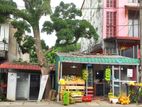 Commercial property for sale in Pannipitiya