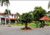 COMMERCIAL PROPERTY FOR SALE IN PILIYANDALA WITH FURNITURES (SP1063) - Ansicht 3