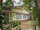 Commercial Property for Sale - Kurunegala