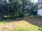 Commercial/ Residential Land for Sale in Araliya Gardens (C7-9801)