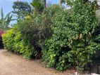 Commercial/ Residential Land for Sale in Dehiwala (C7-10497)