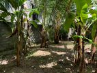Commercial/ Residential Land for Sale in Dehiwala (C7-10498)