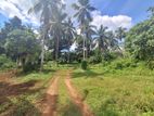 Commercial/ Residential Land for Sale in Malwathuhiripitiya, Gampaha.