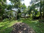 Commercial/ Residential Land for Sale in Nawala (C7-9962)