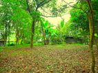 Commercial / Residential Land for sale in Panadura
