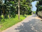 COMMERCIAL / RESIDENTIAL LAND FOR SALE IN PILIYANDALA DAMPE .