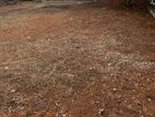 Commercial/ Residential Land for Sale in Wattala (C7-10589)