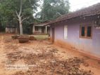 Land for Sale in Kataragama