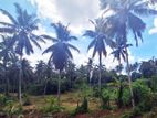 Commercial Residential Property for Sale in Malwathuhiripitiya, Gampaha.