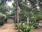 COMMERCIAL RESIDENTIAL PROPERTY FOR SALE IN WATAREKA PADUKKA