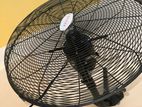 Singer Wall Fan