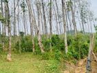 COMMERCUAL LAND FOR SALE IN PUGODA (SP1073)