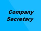 Company Secretarial and Business registration - Island wide