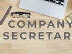 Company Secretarial Services - CSS