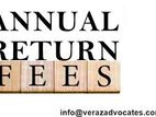 Company Secretarial Services - Filing Annual Return