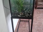 Complete Fish Tank