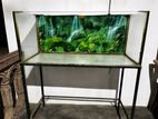 Complete Fish Tank