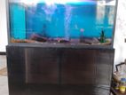 Fish tank with Stand