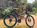 Complex Sport Mountain Bicycle