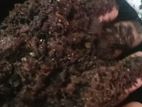 Compost Fertilizer ( කොම්පෝස්ට් පොහොර )