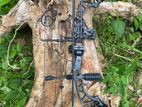 Compound Bow