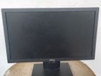 Dell Monitor