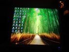 Computer Monitor