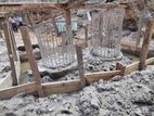 Concrete Piling Shoring Plumbing - Colombo 13