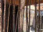 Concrete Slab Shuttering සැටලිම