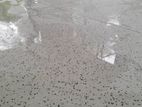 Concrete Terrazzo Floor Cut Polish