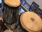 Bongo Drum