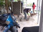 Construction Works