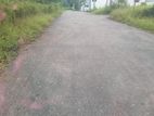 Container yard Suitable Land for sale athurugiriya