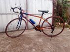 Continental Road Racing Bicycle
