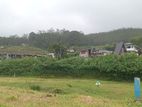 Cool flat land for sale Nuwara Eliya