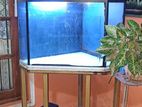 Fish Tank with Stand