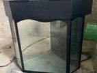 Corner Fish Tank