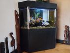 Corner Fish Tank with Full Accessories