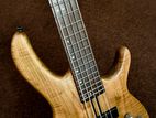 Cort 5 Strings Bass Guitar