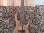 Cort a 6 Bass Giutar