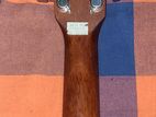Cort Acoustic Guitar