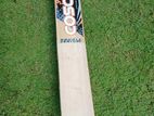 Cosco Kashmir Willow Bat
